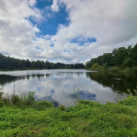 In Hahnenklee Appartement *