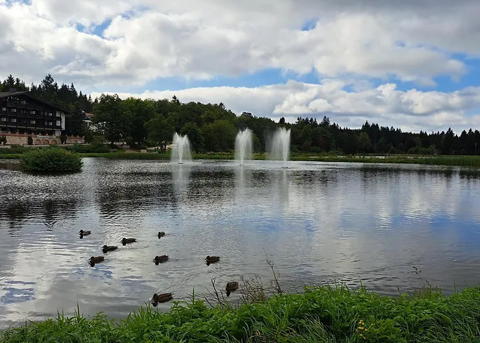 In Hahnenklee Апартаменты Гослар